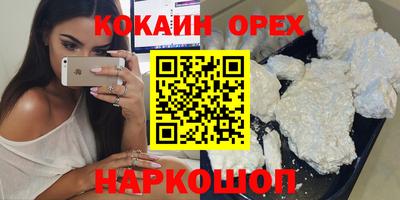 дмт Кингисепп