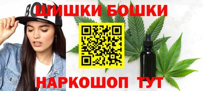 мдпв Камышлов